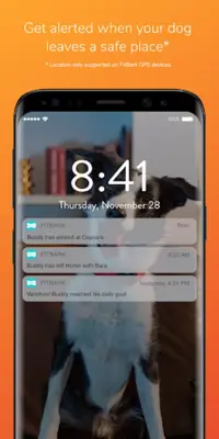 FitBark android App screenshot 6